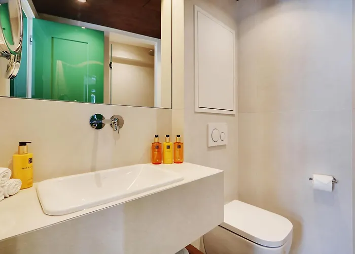 Collection Serviced In Notre Dame - Rue Savoie * Paryż